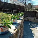 зорница Slivek