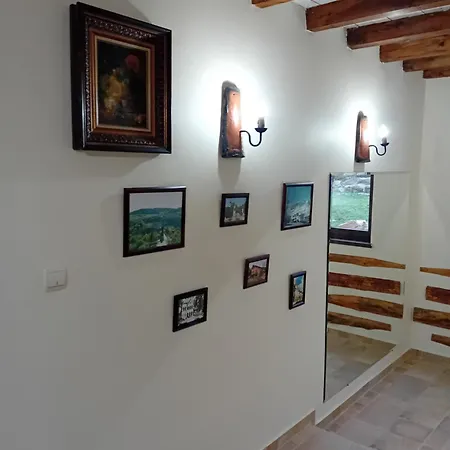 зорница Slivek