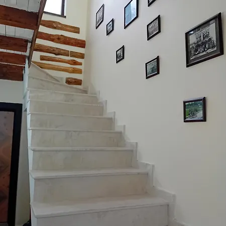 зорница * Slivek